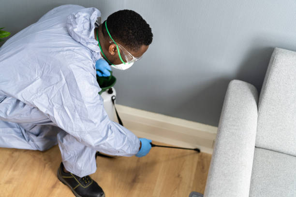 Professional Pest Control in Ventress, LA